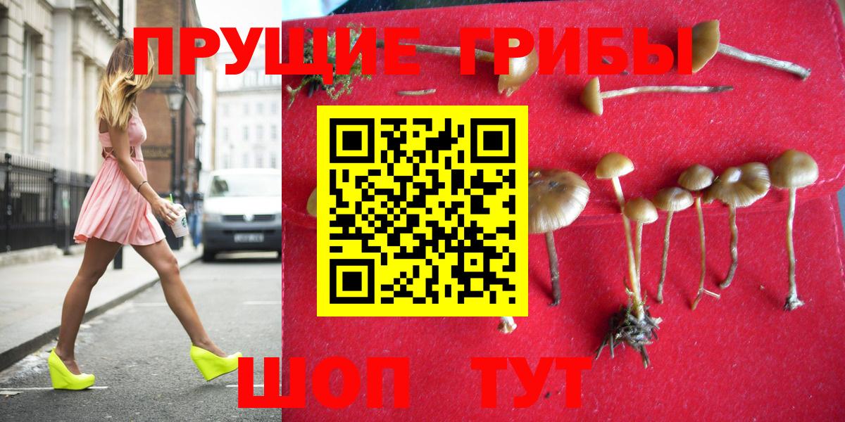 Галлюциногенные грибы Psilocybine cubensis  Вход с VPN  Миасс  Галлюциногенные грибы GOLDEN TEACHER 